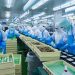 Quy trình sản xuất thực phẩm an toàn