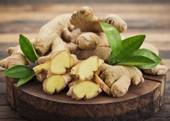 Ăn gừng có nên cạo vỏ hay không? Tưởng đơn giản nhưng nhiều người làm sai