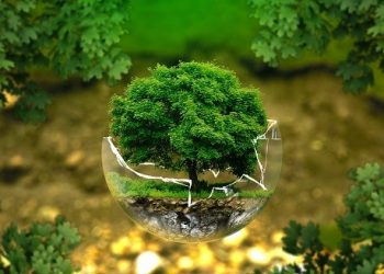 Mức xử phạt đối với vi phạm hành chính trong lĩnh vực bảo vệ môi trường quy định thế nào?