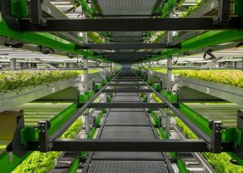Startup trang trại thẳng đứng gục ngã trong cơn suy sụp của ngành công nghệ