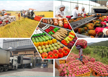 TS Hồ Minh Sơn – Chủ tịch HĐQL Viện IRLIE: Doanh nghiệp cần chủ động bảo vệ và thích ứng với các cuộc chơi ở thị trường lớn