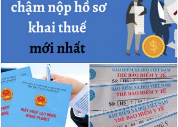 TS Hồ Minh Sơn – Chủ tịch HĐQL Viện IRLIE phúc đáp về thời hạn thẻ bảo hiểm y tế của học sinh, sinh viên – Cấp giấy phép lao động, Doanh nghiệp chậm nộp tờ khai thuế bị xử lý ra sao?