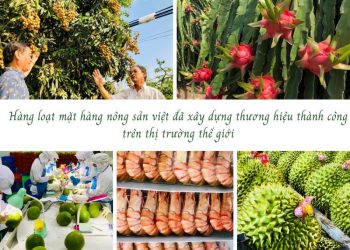 TS Hồ Minh Sơn – Chủ tịch HĐQL Viện IRLIE: Ứng dụng khoa học công nghệ – Sản phẩm nông nghiệp sẽ đột phá, lan toả đến bạn bè thế giới