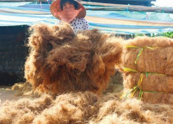 Ứng dụng khoa học công nghệ vào sản xuất, xây dựng thương hiệu sản phẩm, làng nghề mới từng bước tiến nhanh, vững chắc