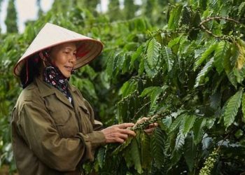 Xuất khẩu nông, lâm, thủy sản 9 tháng năm 2023 đạt gần 38,5 tỷ USD