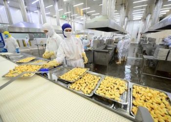 Xuất khẩu thuỷ sản phục hồi 