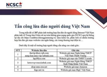 Nhiều website ngân hàng, ví điện tử bị giả mạo