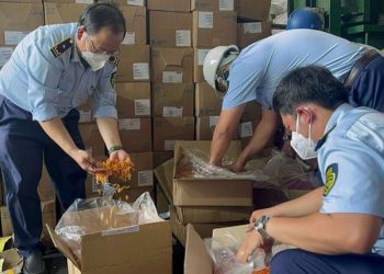 Lật tẩy hàng giả đội lốt hàng Việt