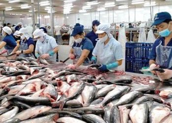 Doanh nghiệp Việt – một năm ‘vượt sóng cả’