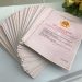 Đất không có giấy tờ sẽ được cấp ‘sổ hổng’ trong trường hợp nào?