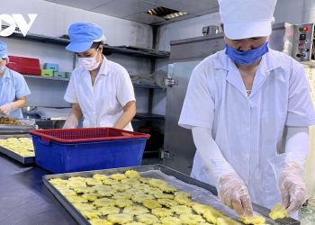 Doanh nghiệp được mùa xuất khẩu phân khúc hàng bình dân