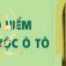 Trung tâm tư vấn pháp luật Toàn Tâm (TTLCC): Bảo hiểm trách nhiệm dân sự ô tô có bắt buộc- Bằng lái bị tạm giữ, có được dùng biên bản để điều khiển xe?