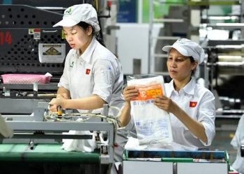 Những dự báo tác động chính sách của Luật Bảo hiểm xã hội năm 2024