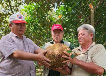Vĩnh biệt người thầy ngành nông nghiệp miền Tây