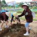 Việt Nam phát triển du lịch nông thôn theo phương châm “mỗi người dân là một đại sứ du lịch”- “mỗi địa phương – một sản phẩm du lịch đặc sắc”