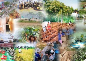 Chính sách mới có hiệu lực từ tháng 2/2025