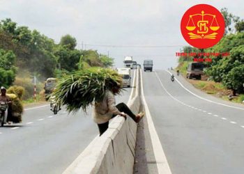 Trung tâm tư vấn pháp luật Minh Sơn: Ô tô chạy ‘rùa bò’ trên cao tốc bị phạt bao nhiêu tiền – Người đi bộ bất ngờ lao vào xe container trên cao tốc, tài xế phải bồi thường?