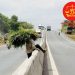 Trung tâm tư vấn pháp luật Minh Sơn: Ô tô chạy ‘rùa bò’ trên cao tốc bị phạt bao nhiêu tiền – Người đi bộ bất ngờ lao vào xe container trên cao tốc, tài xế phải bồi thường?
