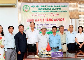 Hiệp hội (VFAEA) giao ban tháng 4 và triển khai nhiệm vụ quý 2 năm 2025
