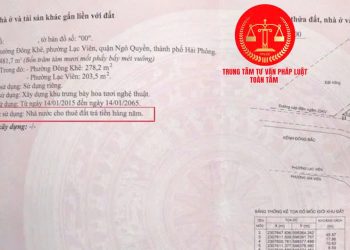 Trung tâm tư vấn pháp luật Toàn Tâm: Tham gia giao dịch bất động sản tại sàn giao dịch bất động sản, người tham gia có quyền và nghĩa vụ – Mua đất có nguồn gốc đất công, ra sao?