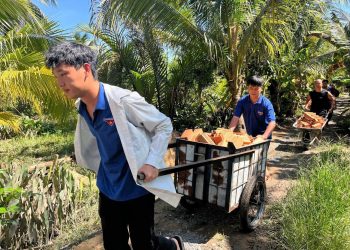 ĐOÀN TNCS HỒ CHÍ MINH TỈNH BẾN TRE TRIỂN KHAI XÓA NHÀ TẠM, NHÀ DỘT NÁT CHO NGƯỜI DÂN TRÊN ĐỊA BÀN