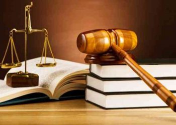 Mức xử phạt người sản xuất, buôn bán hàng giả là thức ăn dùng để chăn nuôi, phân bón, thuốc thú y