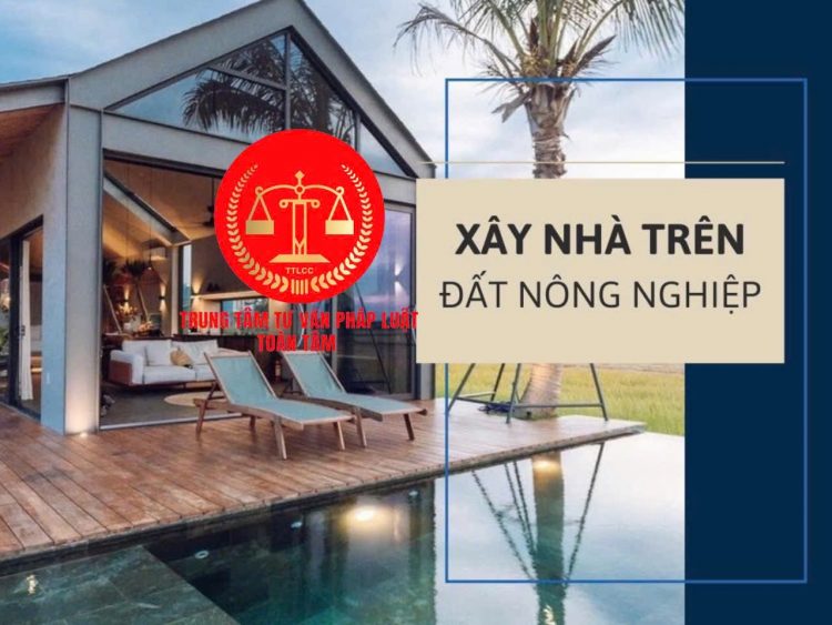 Trung tâm tư vấn pháp luật Toàn Tâm: Trước năm 1993, đất khai hoang nay bị kiện vì người khác có sổ đỏ – Năm 2025, xây nhà trên đất nông nghiệp phải tháo dỡ làm sao?