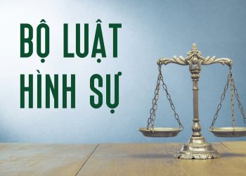 TS. Hồ Minh Sơn: Pháp lý của vụ phá cửa nhà hàng xóm do bị nhắc nhở hát karaoke – Bị khởi tố vì trốn thuế, TikToker ‘Cún Bông’ đối diện hình phạt nào?