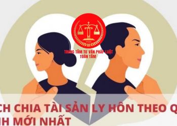 Trung tâm tư vấn pháp luật Toàn Tâm: Người giám hộ có được bán nhà đất là tài sản của trẻ vị thành niên – Khi ly hôn chủ hộ được nắm quyền chia tài sản?