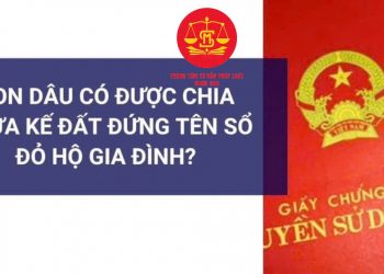 Trung tâm tư vấn pháp luật Minh Sơn: Sổ đỏ, con dâu từng góp tiền sửa nhà có được chia thừa kế không – Những đối tượng nào phải có chứng chỉ hành nghề đấu thầu?