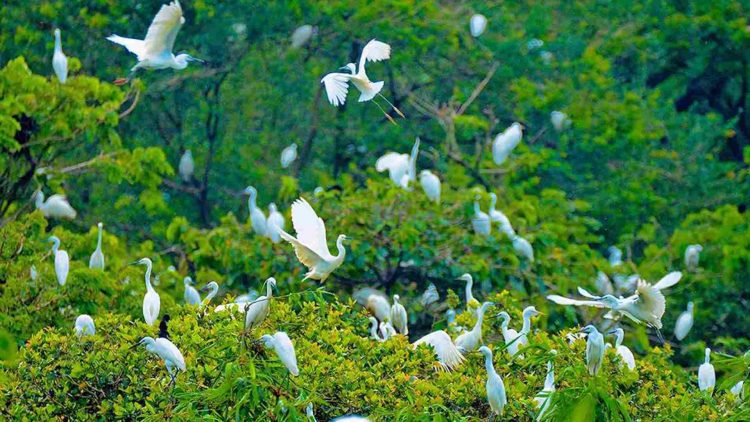Ngành du lịch Cần Thơ: Hút 6,3 triệu du khách nhờ đa dạng sản phẩm, tận dụng không gian rộng lớn sau hợp nhất địa giới