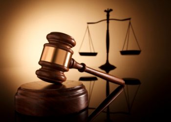 TS. Hồ Minh Sơn: Phân tích yếu tố pháp lý liên quan vụ án gà lôi trắng?