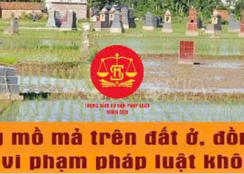 Trung tâm tư vấn pháp luật Minh Sơn: Có được xây mộ trên đất trồng lúa không – Chuyển nhượng đất chưa có sổ đỏ, có thể bị phạt nặng?
