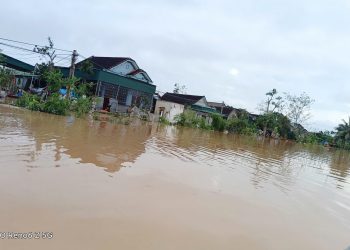 Phát động ủng hộ đồng bào bị thiệt hại do bão, lũ tại xã Đô Lương (tỉnh Nghệ An)