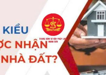 Trung tâm tư vấn pháp luật Minh Sơn tuyên truyền pháp luật miễn phí liên quan Việt kiều doanh nhân thành viên Viện IMRIC, Viện IRLIE