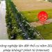 Trung tâm tư vấn pháp luật Toàn Tâm tuyên truyền về Nghị định số 151/2025/NĐ-CP và Luật Đất đai 2024 cho CLB DN IMRIC – IRLIE và người dân