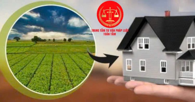 Trung tâm tư vấn pháp luật Toàn Tâm tuyên truyền về Nghị định số 103/2024/NĐ-CP và Luật Hôn nhân và Gia đình năm 2014 cho CLB DN IMRIC – IRLIE và người dân