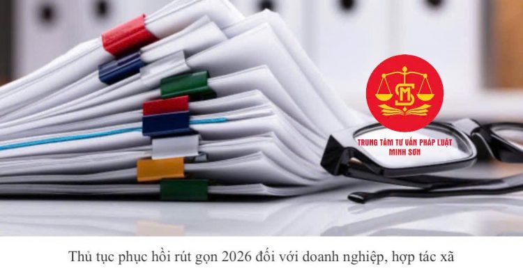 Trung tâm tư vấn pháp luật Minh Sơn tuyên truyền về Nghị định 125/2020/NĐ-CP và Luật Phục hồi, phá sản 2025 cho CLB DN IMRIC – IRLIE, người dân
