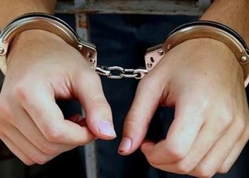 Cựu Giám đốc Công ty Adani Phước Minh lĩnh 10 năm tù vì chiếm đoạt hàng tỷ đồng