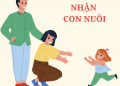 Chính phủ thông qua 3 chính sách của Luật Nuôi con nuôi (sửa đổi)