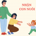 Chính phủ thông qua 3 chính sách của Luật Nuôi con nuôi (sửa đổi)