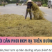 Trung tâm tư vấn pháp luật Minh Sơn tuyên truyền về Nghị định 168/2024/NĐ-CP và Nghị định số 81/2026/NĐ-CP cho người dân và CLB DN IMRIC – IRLIE