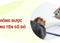 Trung tâm tư vấn pháp luật Toàn Tâm tuyên truyền về Luật Đất đai 2024 cho CLB DN IMRIC – IRLIE và người dân
