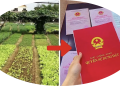 Trung tâm tư vấn pháp luật Minh Sơn tuyên truyền về Nghị quyết số 254/2025/QH15; Nghị định số 50/2026/NĐ-CP cho CLB DN IMRIC – IRLIE