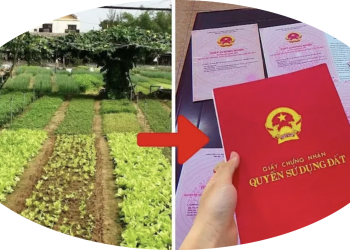 Trung tâm tư vấn pháp luật Minh Sơn tuyên truyền về Nghị quyết số 254/2025/QH15; Nghị định số 50/2026/NĐ-CP cho CLB DN IMRIC – IRLIE
