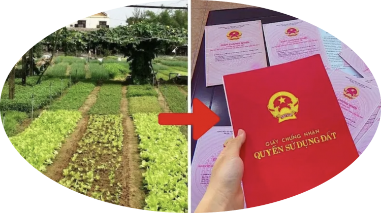 Trung tâm tư vấn pháp luật Minh Sơn tuyên truyền về Nghị quyết số 254/2025/QH15; Nghị định số 50/2026/NĐ-CP cho CLB DN IMRIC – IRLIE