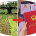 Trung tâm tư vấn pháp luật Minh Sơn tuyên truyền về Nghị quyết số 254/2025/QH15; Nghị định số 50/2026/NĐ-CP cho CLB DN IMRIC – IRLIE