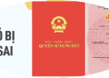 Trung tâm tư vấn pháp luật Toàn Tâm tuyên truyền về Luật Đất đai 2024 và Bộ luật Dân sự 2015cho CLB DN IMRIC – IRLIE và người dân