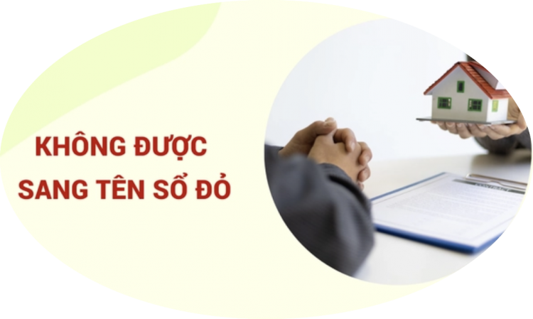 Trung tâm tư vấn pháp luật Toàn Tâm tuyên truyền Luật Đất đai 2024 và trợ giúp pháp lý