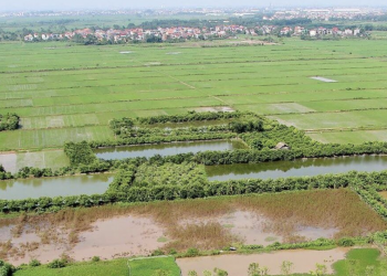 9 trường hợp thu hồi đất có thể không được bồi thường: Người dân cần lưu ý